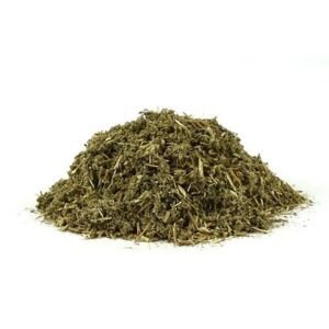Pelyněk pontický - nať nařezaná - Artemisia pontica - Absinthii pontici herba 1000 g
